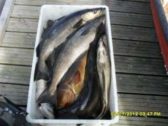 Norwegen2012-13