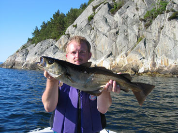 Norv2